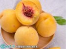 2021年7月15日锦绣黄桃价格行情...