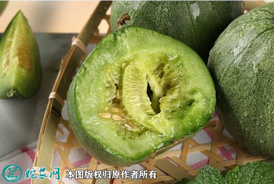 2021年7月16日绿宝甜瓜价格行情、今日绿宝石甜瓜多少钱一斤?
