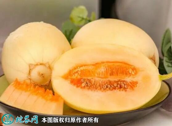2021年7月16日东方蜜甜瓜价格行情、今日东方蜜1号甜瓜多少钱一斤?