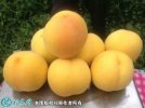 2021年7月16日黄金蜜桃价格行情...