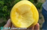 2021年7月16日黄油桃价格行情、...
