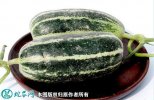 2021年7月16日博洋甜瓜价格行情...