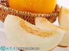 2021年7月16日黄河蜜甜瓜价格行...