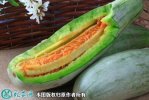 2021年7月16日羊角蜜甜瓜价格行...