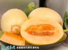 2021年7月16日东方蜜甜瓜价格行...