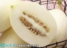 2021年7月16日翠梨甜瓜价格行情...