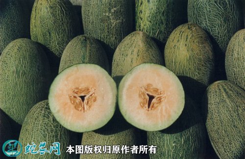 2021年7月17日哈密瓜价格行情、今日各种哈密瓜多少钱一斤?