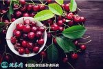 2021年7月17日车厘子价格行情、...
