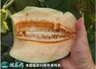 2021年7月17日晓蜜25号价格行...