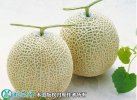 2021年7月17日网纹瓜价格行情、...