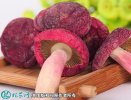 2021年7月17日红菇价格行情、今...