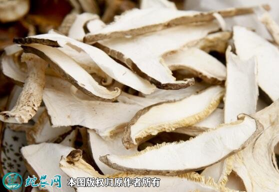 2021年7月18日香菇片价格行情、今日香菇片多少钱一斤?
