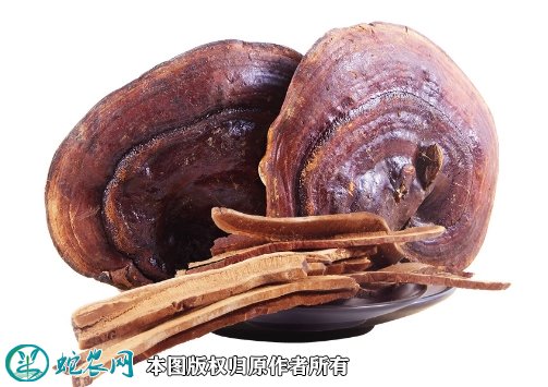 2021年7月18日紫灵芝价格行情、今日紫灵芝多少钱一斤?