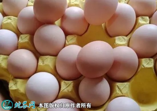 2021年7月18日粉蛋价格行情、今日粉壳鸡蛋多少钱一斤?