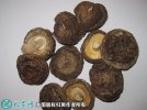 2021年7月18日黑面菇价格行情、...