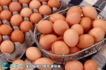 2021年7月18日红蛋价格行情、今...