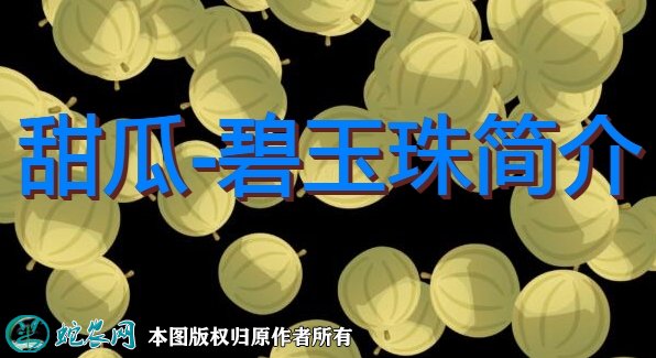 甜瓜新品种：碧玉珠简介