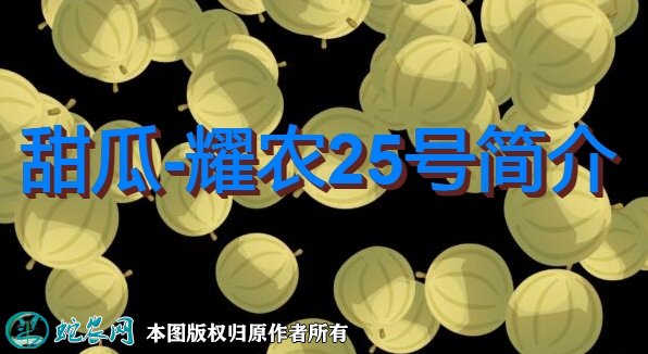 甜瓜新品种:耀农25号简介