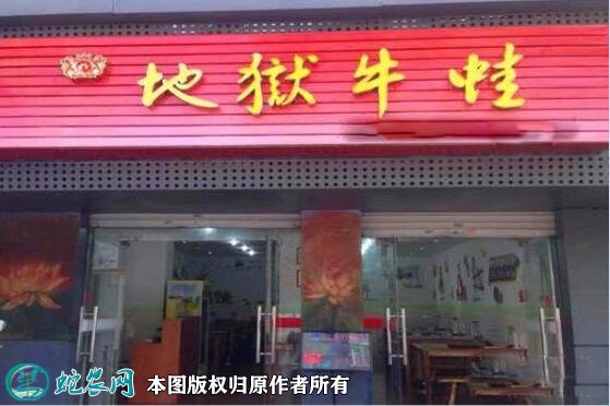 地狱牛蛙加盟