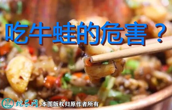 吃牛蛙的危害？