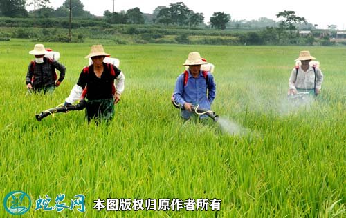 关于研发应用病虫害绿色防控技术产品答复
