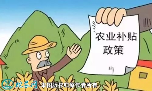 关于提高耕地地力保护补贴标准并加强农产品市场信息服务答复
