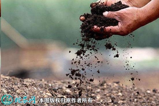 关于鼓励小农户多施用有机肥答复