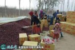2021年新疆脱贫地区农产品产销对接...