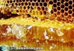 一种蜂胶的生产加工制作流程