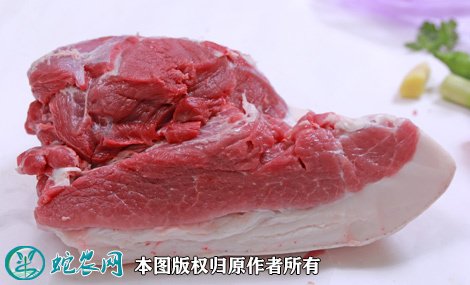 2021年8月14日黑猪肉价格行情、今日黑猪肉多少钱一斤?