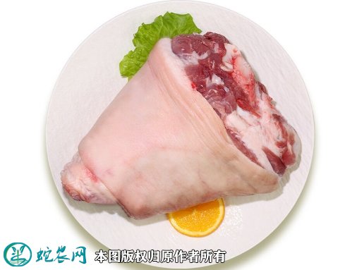 2021年8月15日猪肘子价格行情、今日猪肘子多少钱一斤?