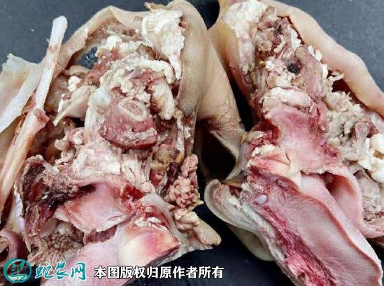 2021年8月19日羊头脸价格行情、今日羊头脸多少钱一斤?