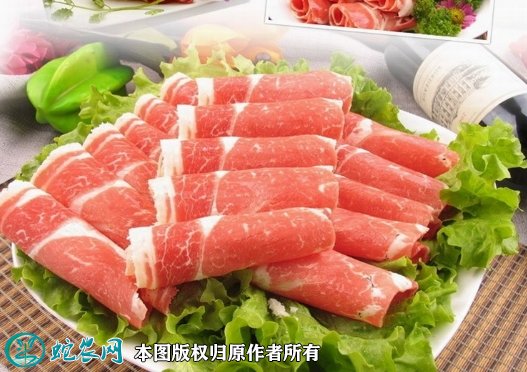 2021年8月19日羊肉卷价格行情、今日羊肉卷多少钱一斤？