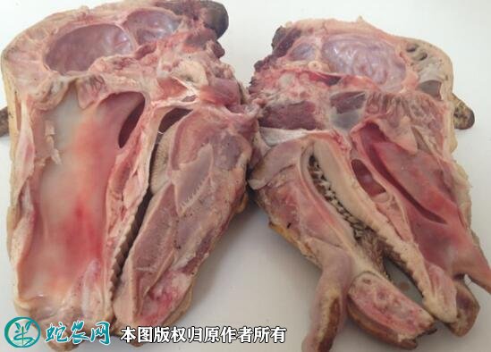 2021年8月19日羊头肉价格行情、今日熟羊头肉多少钱一斤?