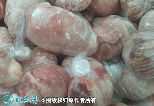 2021年8月19日羊睾丸价格行情、今日羊外腰、羊宝多少钱一斤？