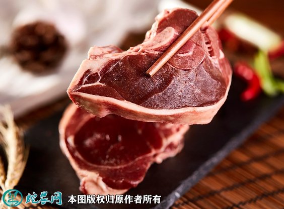 2021年8月21日鹿肉价格行情、今日鹿肉多少钱一斤?