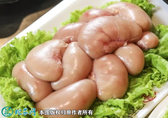 2021年8月22日鸡腰子价格行情、今日鸡睾丸多少钱一斤?