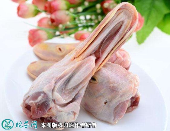 2021年8月23日鸭头价格行情、今日鸭头多少钱一斤?