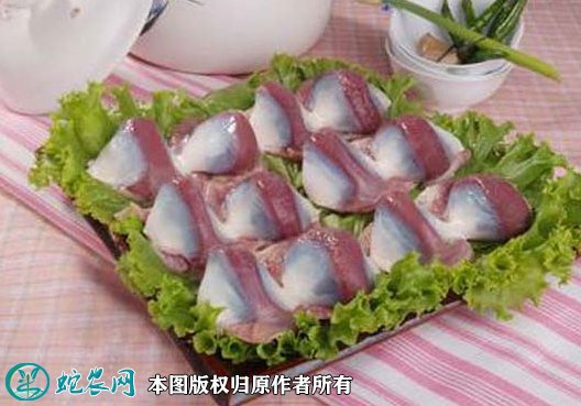 2021年8月23日鸭胗价格行情、今日鸭肫/鸭菌子多少钱一斤?