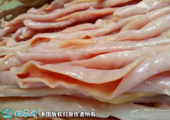 2021年8月24日鹅肠价格行情、今日鹅肠多少钱一斤？