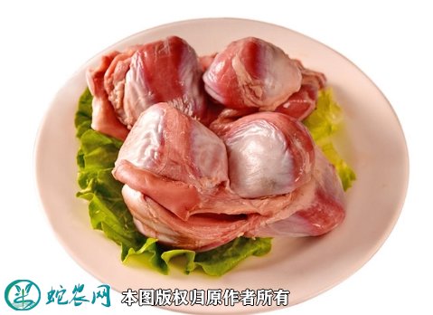 2021年8月24日鹅胗价格行情、今日鹅肫多少钱一斤?