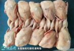 2021年8月26日淘汰鹌鹑价格行情...