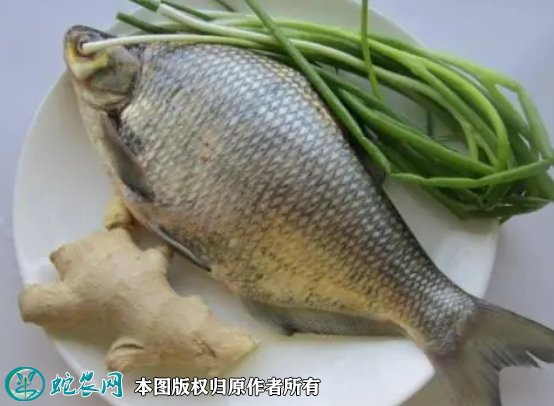 2021年8月27日武昌鱼价格行情、今日团头鲂、草鳊多少钱一斤?