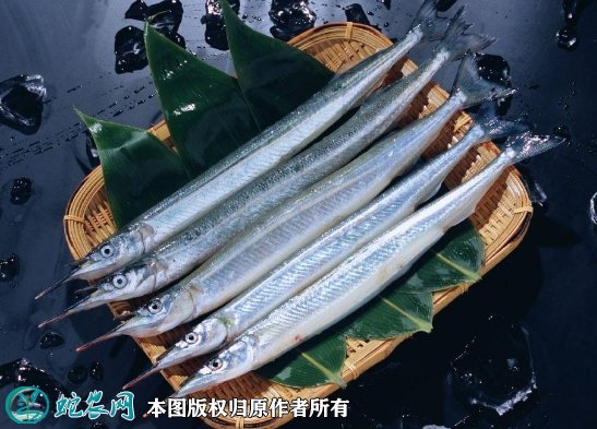 2021年8月27日秋刀鱼价格行情、今日竹刀鱼多少钱一斤?
