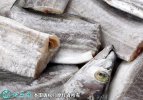 2021年8月29日南海带鱼价格行情...