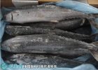 2021年8月29日鲅鱼价格行情、今...
