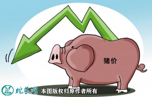 喜欢吃猪肉再不用悠着了！8月猪肉价格同比下降44.9%！