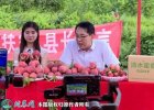 2021年9月20日秋蜜桃价格行情、...