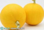 2021年9月20日伊丽莎白甜瓜价格...
