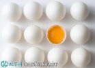 2021年9月22日白壳鸡蛋价格行情...